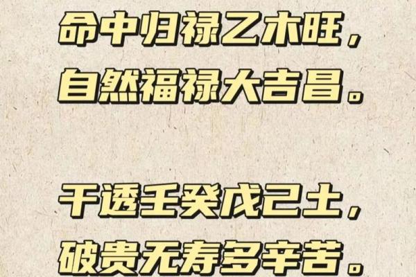 民间盲派八字命理宝典