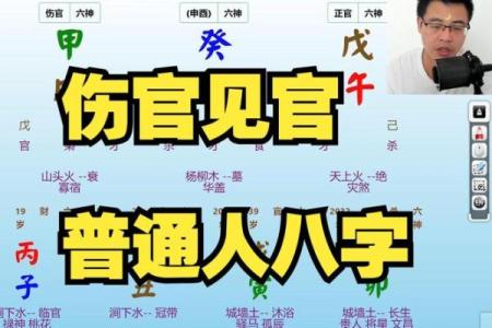 八字忌伤官