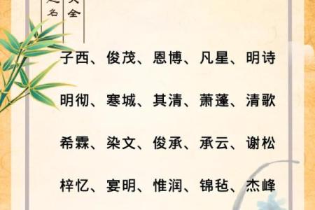 2019年3月20号酉时出生的男孩起名方法姓名