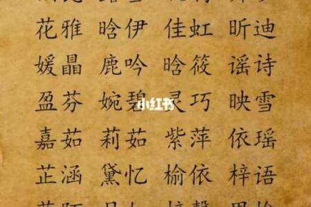 给晚上出生的属鼠男孩起名宜用什么字姓名