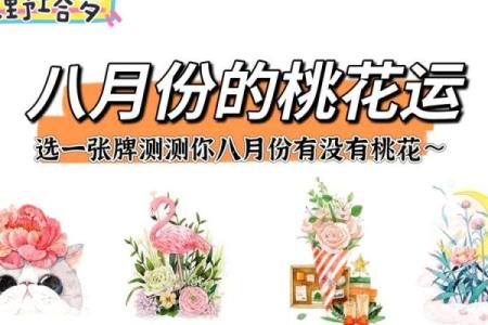 塔罗测试：最近你在吸引什么桃花运？