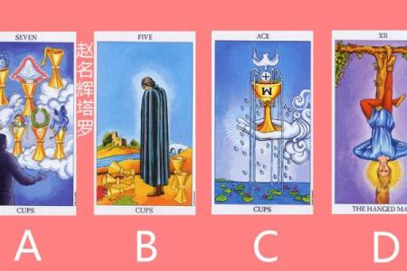 塔罗测试：这次面试会成功吗