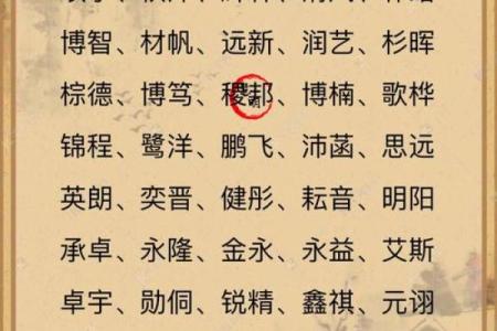 如何给9月份出生的属兔男孩取名字姓名