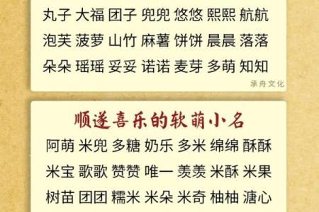 2019年5月24号子时出生的男孩起名方法姓名