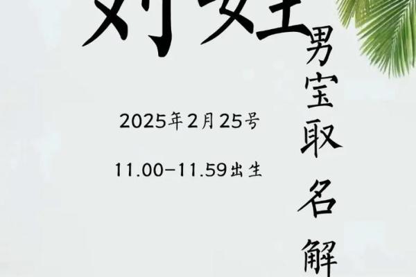 2019年出生的姓刘男孩如何起名，宜用什么字姓名