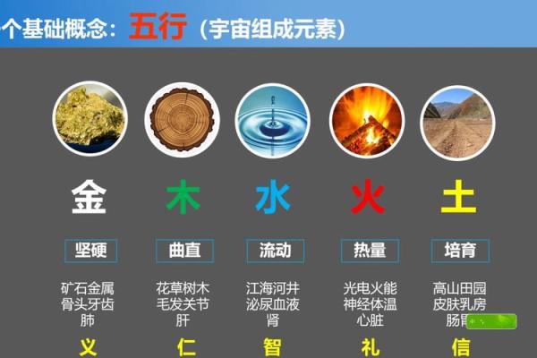 八字五行全