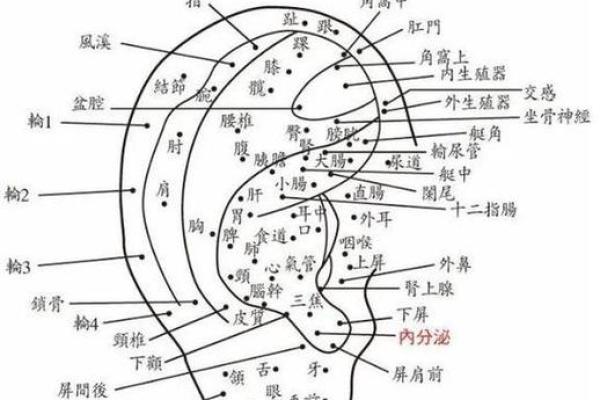 耳疼测试吉凶