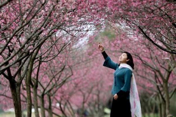 2019年4月17号丑时出生的男孩要怎么起名字姓名