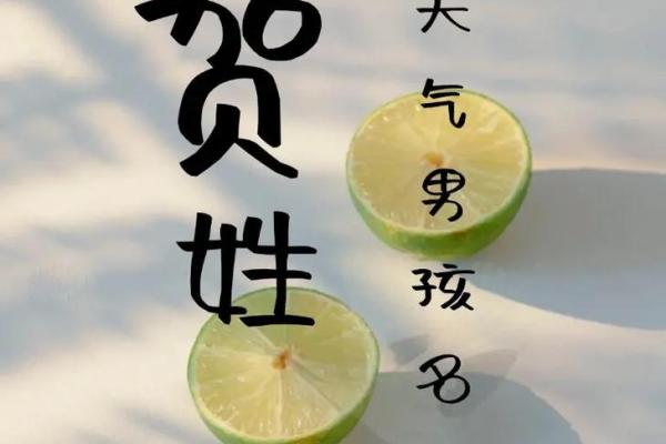 贺氏家族的世系和歌诀-姓名学-华易网姓名