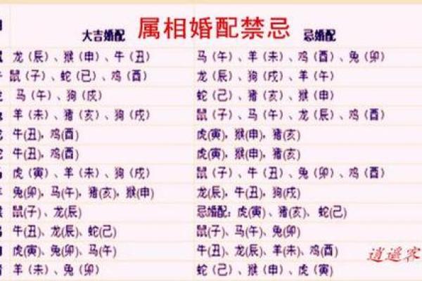 【详解八字合婚狗和狗，看看他们的姻缘指数！】