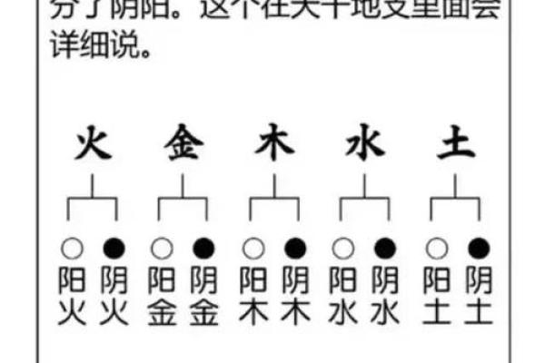 起名禁忌五行八字,生辰八字查询五行取名