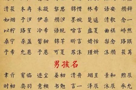 2024年农历十月二十一出生的男女宝宝五行 命运解析八字起名