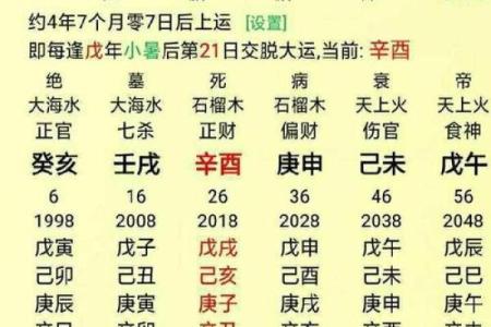 八字酉代表什么