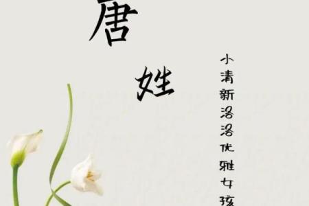 唐姓女孩名字大全-唐姓女孩起名字大全-唐姓名字大全姓名