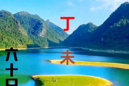 丁未日柱出生男女八字命运分析 丁未日柱如何看