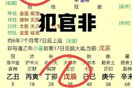 八字伤官见官男命