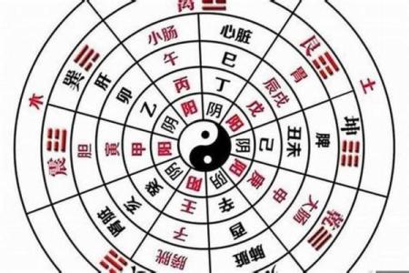 八字全阳是什么意思