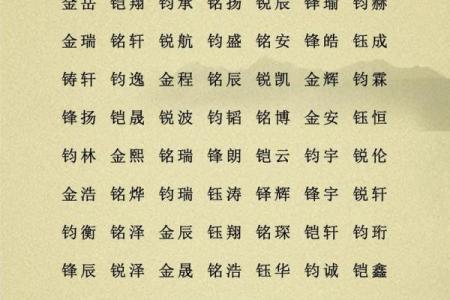 属龙巳时出生的男孩怎么取名，适合用什么字姓名