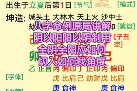八字全阴女