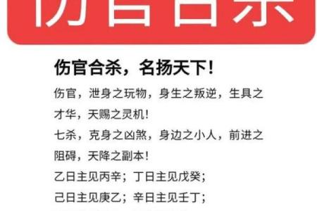 伤官合杀美女八字