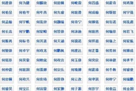 乐姓男孩名字大全-乐姓男孩起名字大全-乐姓名字大全姓名