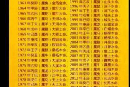 起名禁忌五行八字,生辰八字查询五行取名