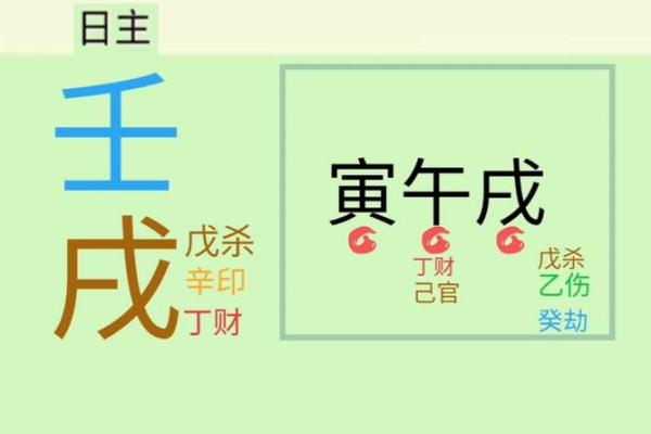 八字日柱壬子的命理详批