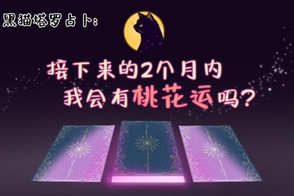 塔罗测试四月桃花运