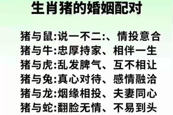 在线八字合婚：女属猪男属马的夫妻长久吗