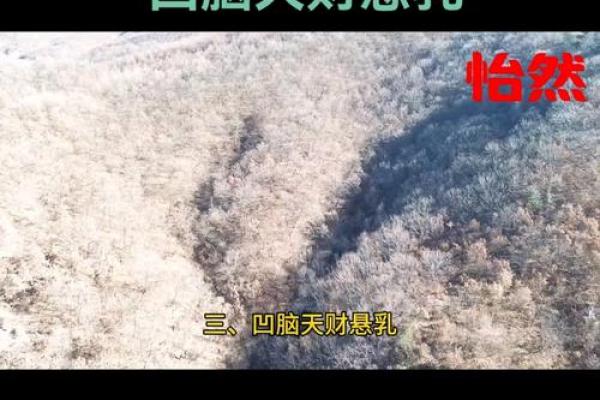 天财八字