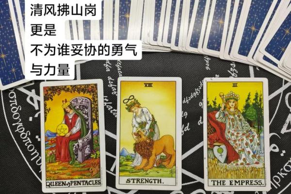 塔罗测试你适合创业还是找工作
