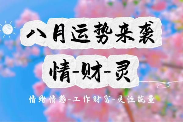 塔罗测试八月你将遇到啥好运？