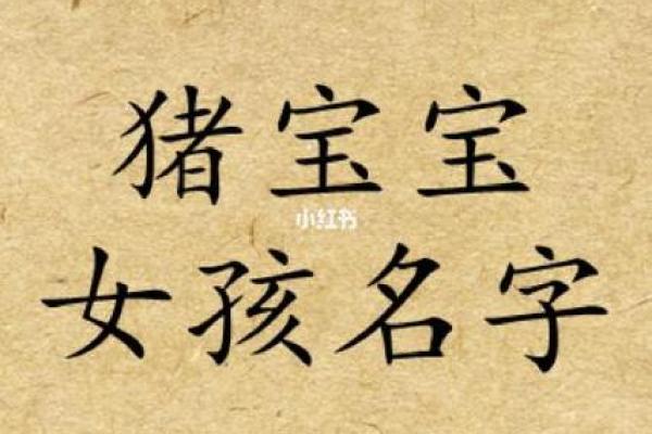 5月份出生的属猪男孩该怎么起名姓名