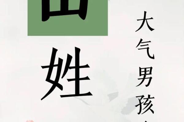 2019年3月16号亥时出生的男孩要怎么起名字姓名