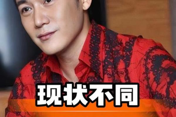 陆毅八字