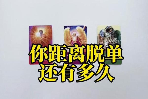塔罗牌测试：年底前，你能成功脱单吗？