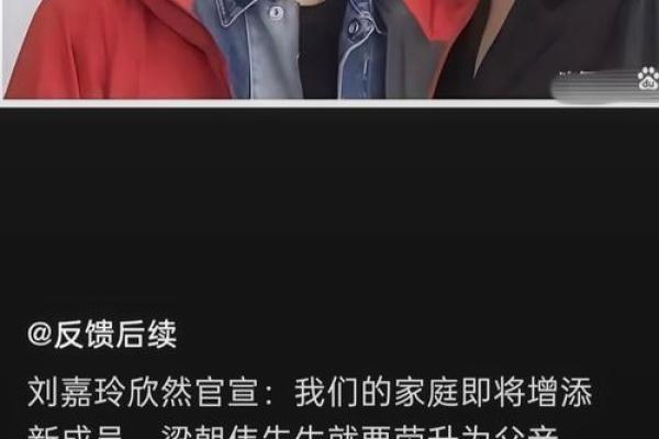 刘嘉欣梁朝伟八字合婚