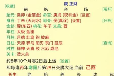 喜金的八字
