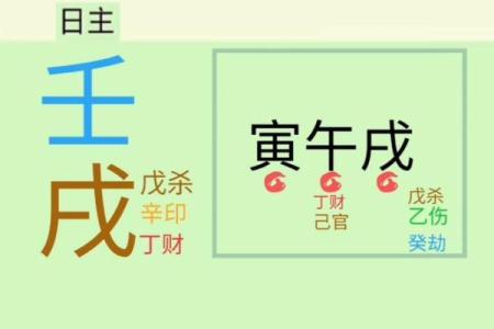 八字日柱壬子的命理详批