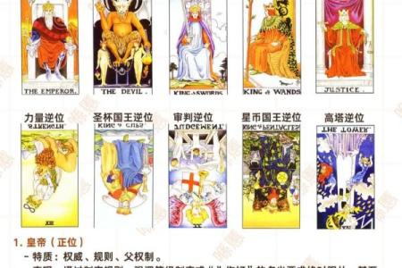 塔罗测试：你适合怎样的工作岗位