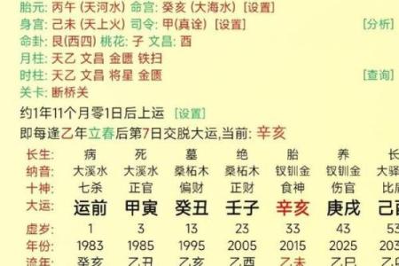 八字从比格