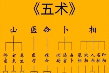 查五行八字缺什么,周易免费查五行缺什么