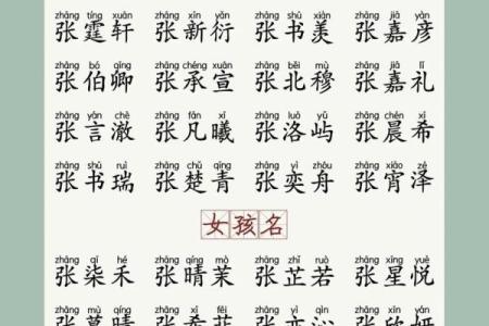 如何给亥时出生的属兔男孩起名最好姓名