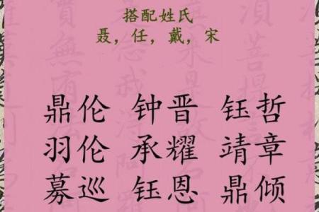 2019年6月6号丑时出生的男孩如何起名姓名