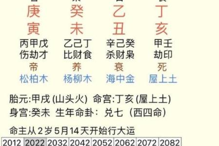 八字论命方法潘昭佑,潘昭佑的预测水平