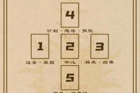 塔罗牌多久测试一次才不受影响-