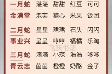 凌晨3点出生的属蛇男孩如何起名，宜用什么字姓名