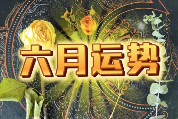 塔罗牌测试六月事业运