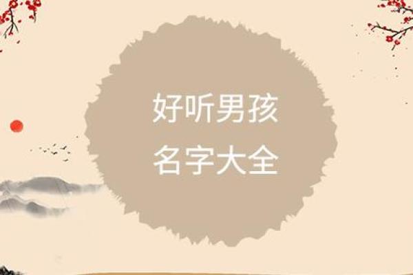 2019年3月31号巳时出生的男孩要怎么起名字姓名