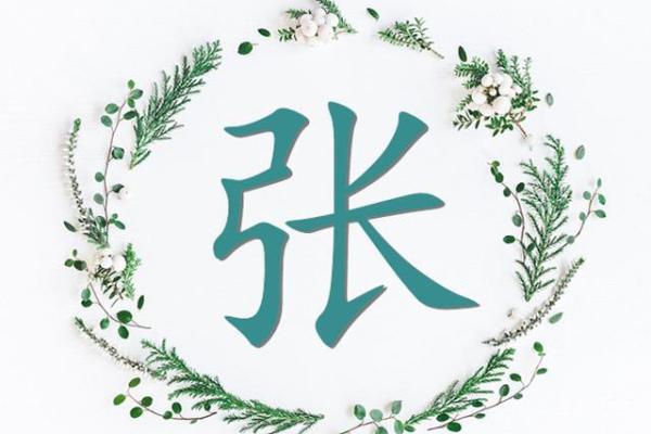 张的八字